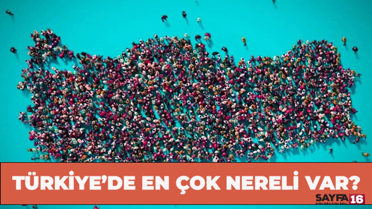 Türkiye'de En Çok Nereli Var? Bursa İlk Onda