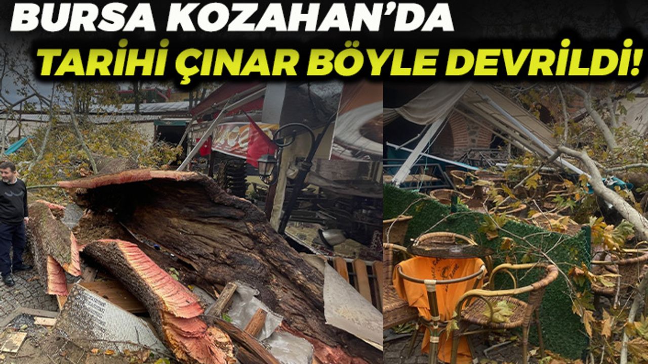 Bursa Kozahan'da Tarihi Çınar Fırtınaya Dayanamadı