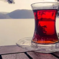 EKONOMİ