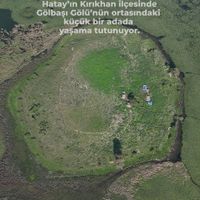 YAŞAM