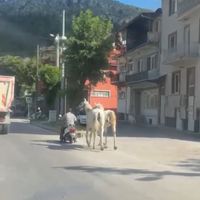 ASAYİŞ