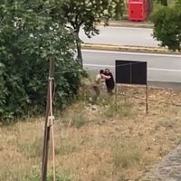 ASAYİŞ