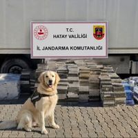 ASAYİŞ