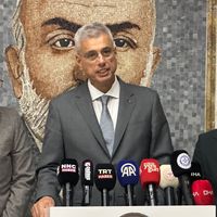 POLİTİKA