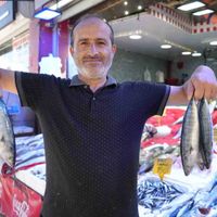 EKONOMİ