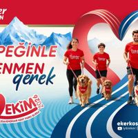 SPOR