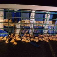 ASAYİŞ