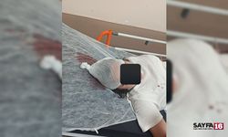 Başıboş köpekler yine can yaktı!