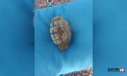 Bursa'da patlamamış el bombası paniği!