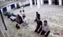 Camiye giren köpekle cemaatin imtihanı!!