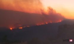 Ciğerlerimiz yanıyor.. Çanakkale, Hatay, Mersin...