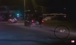 Çocuk aracın bagajından yolun ortasına düştü