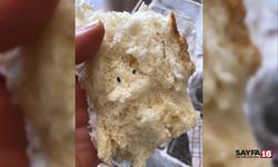 Ekmekten çıkan şey mideyi ağza getirdi