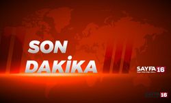 Son Dakika!! Bursa Kaplıkaya'da orman yangın