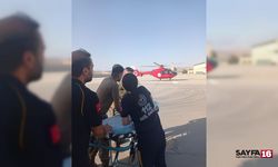 Talihsiz çobanı koyun otlatırken akrep soktu