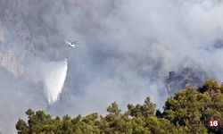 Turizm merkezi Kemer'de yangın iki gündür sürüyor