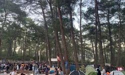 Valilik Akbelen'de ağaç kesiminin sonlandığını açıkladı