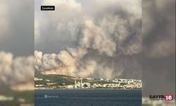 Çanakkale'deki yangın devam ediyor! Çanakkale boğazı kapatıldı
