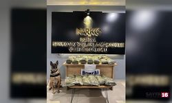 Emniyetten Bursa'da dev operasyon