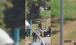İhmalkarlık yine can yaktı! Tasmasız köpek dehşeti kamerada
