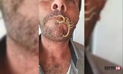 Kendini akreplere sokturuyor, "Hayvan sevgisi" diyor