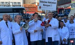 Veteriner hekimler şiddet karşısında iş bıraktı