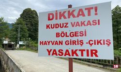 Artvin'de Sahibini Isıran Köpek Kuduz Çıktı, 3 Köy Karantinaya Alındı