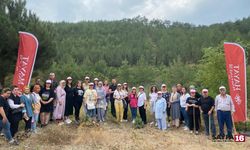 Hayat Hastanesi Orhaneli'deki Hatıra Ormanına Özel Bakım