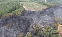 İşte Mudanya orman yangınının bilançosu
