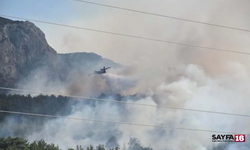 İzmir'de orman yangınına müdahale eden helikopter baraja düştü: 3 can kaybı