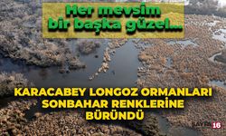 Karacabey Longoz Ormanları Sonbahar Renklerine Büründü