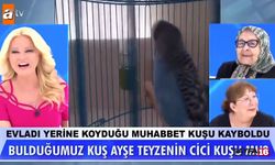 Müge Anlı bu kez Ayşe Teyze'nin muhabbet kuşunu buldu