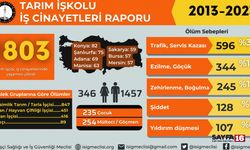 Tarımda Son 10 Yılda En Az 1803 İşçi Hayatını Kaybetti