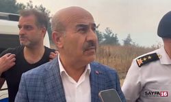 Vali Demirtaş'tan Mudanya yangını açıklaması