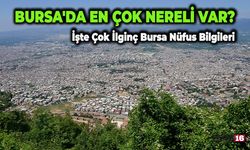 Bursa'da En Çok Nereli Var? Bursa'da Ne Kadar Yabancı Var? Bursa'nın ve İlçelerinin Nüfusu Kaç?