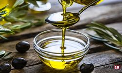 Zeytinyağı İhracat Yasağı Süresiz Uzatıldı! Peki Bu Sene Zeytin Neden Yok?