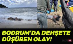 Bodrum’da Denizde ve Sahilde İki Ceset Bulundu