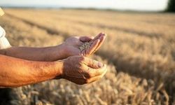 Çiftçiler 5 bin liralık emekli ikramiyesini alamadı