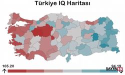 İşte Türkiye'nin En Zeki İlleri. Bursa İlk 10'da