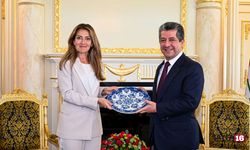 Tuncelili Dilan Yeşilgöz, Hollanda'nın İlk Kadın Başbakanı mı Olacak?