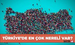 Türkiye'de En Çok Nereli Var? Bursa İlk Onda
