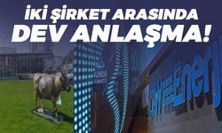CW Enerji, Sütaş Süt Ürünleri A.Ş. İle Dev Anlaşmaya İmza Attı!