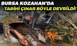 Bursa Kozahan'da Tarihi Çınar Fırtınaya Dayanamadı