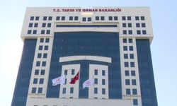 Tarım ve Orman Bakanlığı 7 Bin 158 Personel Alacak!