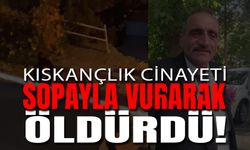 İstanbul'da Kıskançlık Cinayeti! Sopayla Vurarak Öldürdü!