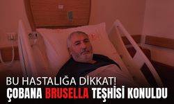 Bursa’da Brusella Teşhisi Konulan Çoban Tedavi Altına Alındı!