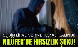 Nilüfer Üçevlerde Hırsızlık Şoku: 55.000 TL Değerinde Altın Çalındı!