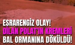 Esrarengiz Olay! Dilan Polat'ın Kremleri Bal Ormanına Döküldü!