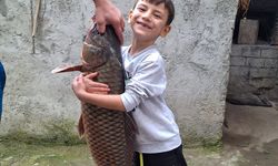 İznik Gölü'nde 25 Kiloluk Sarı Balık Yakalandı