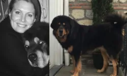 Caroline Koç'un Köpeği Hayatını Kaybetti